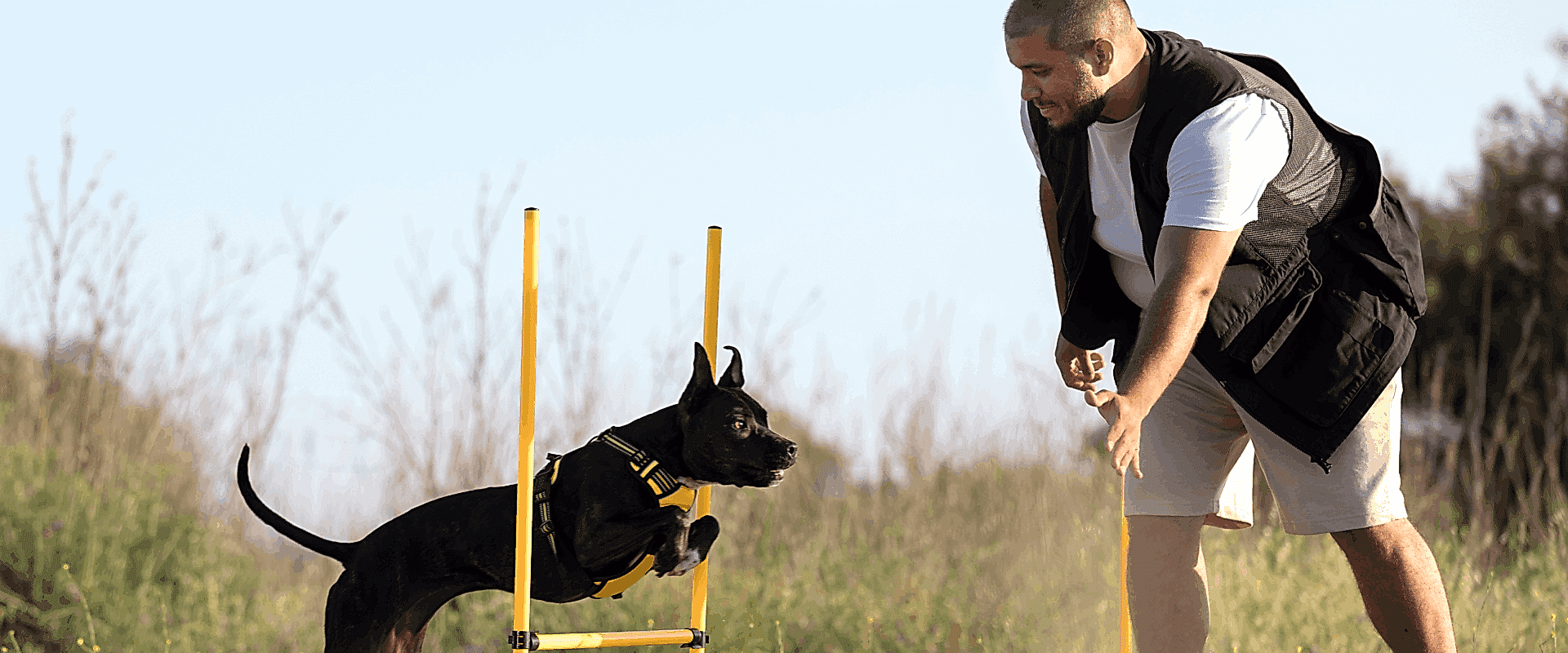 New Project (8) New Project (8)