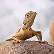 bc5bd041c5bae145142edd3e52285e9b