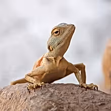 bc5bd041c5bae145142edd3e52285e9b